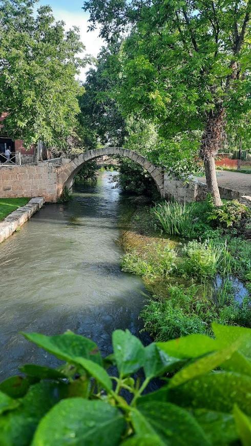 Aromas Del Jiloca, Tierra De Trufas Apartment Calamocha Ngoại thất bức ảnh