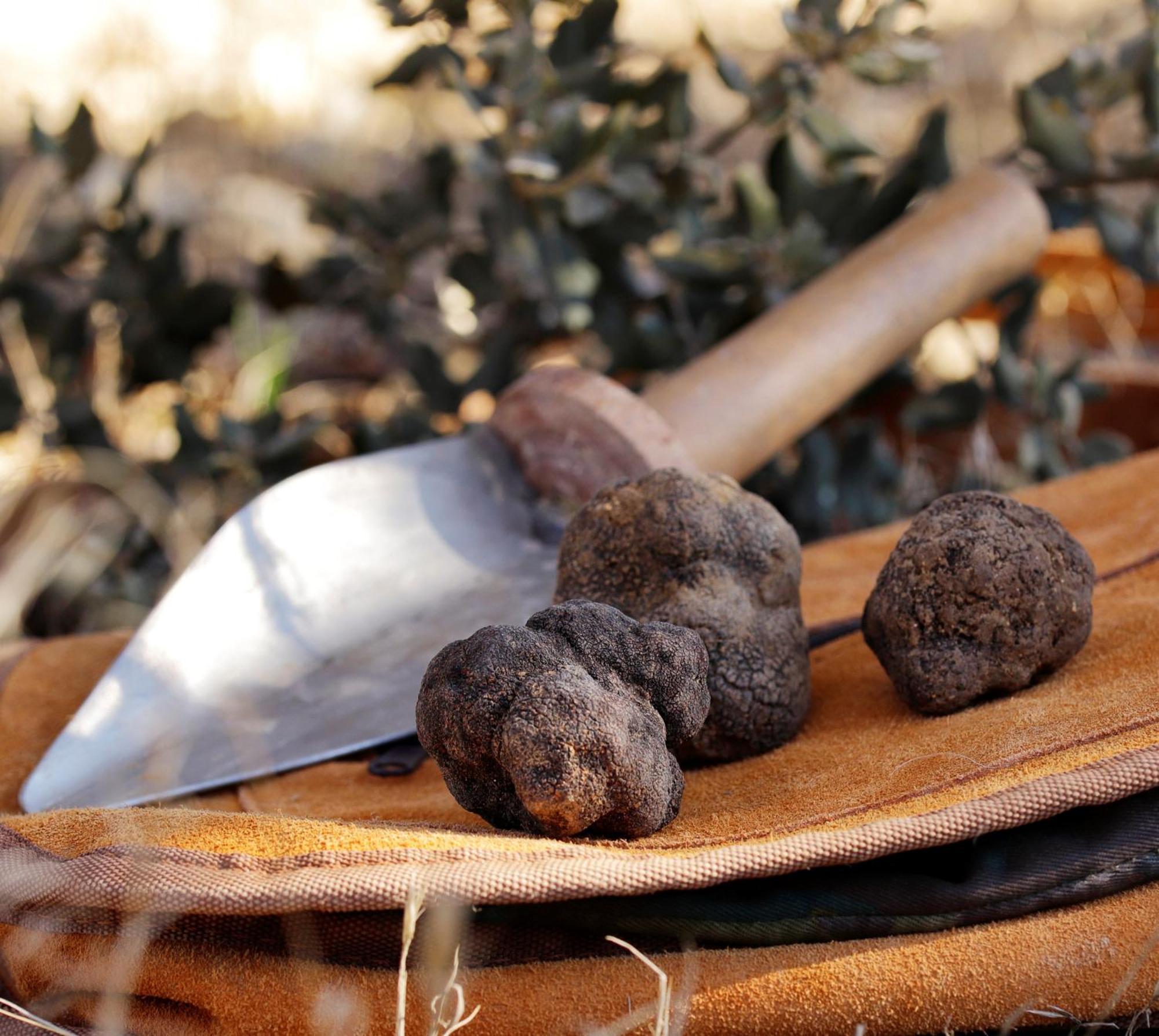 Aromas Del Jiloca, Tierra De Trufas Apartment Calamocha Ngoại thất bức ảnh